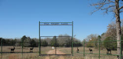 Straight Top Gates by Brenham Iron Works