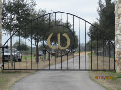 Single Arch Gates by Brenham Iron Works