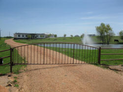 Single Arch Gates by Brenham Iron Works