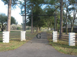 Straight Top Gates by Brenham Iron Works