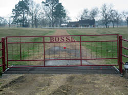 Straight Top Gates by Brenham Iron Works