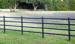 Custom fencing by Brenham Iron Works