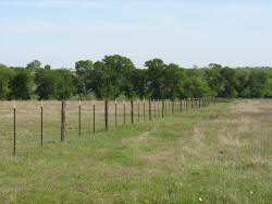 Custom fencing by Brenham Iron Works