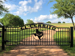 Double arch classic gate from Brenham Iron Works.