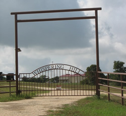 Double arch classic gate from Brenham Iron Works.