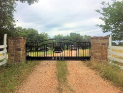 Double arch classic gate from Brenham Iron Works.