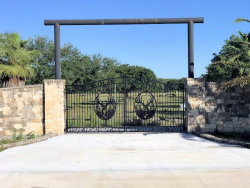 Double arch classic gate from Brenham Iron Works.