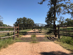 Double arch classic gate from Brenham Iron Works.