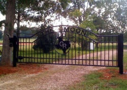 Double arch classic gate from Brenham Iron Works.