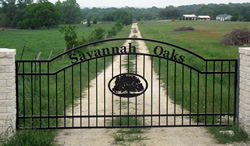 Double arch classic gate from Brenham Iron Works.