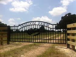 Double arch classic gate from Brenham Iron Works.