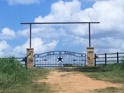 Double arch classic gate from Brenham Iron Works.