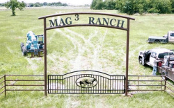 Double arch classic gate from Brenham Iron Works.