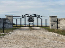 Double Arch Classic Gate