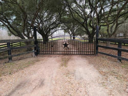 Double Arch Classic Gate