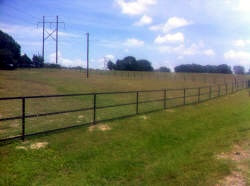 Custom fencing by Brenham Iron Works