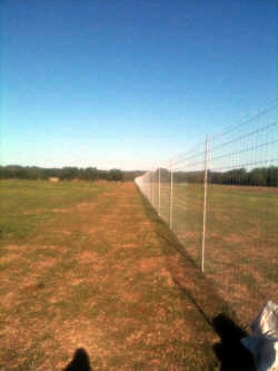 Custom fencing by Brenham Iron Works