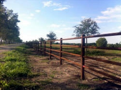 Custom fencing by Brenham Iron Works