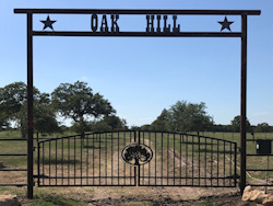 Single Arch Gates by Brenham Iron Works