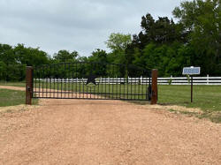 Single Arch Gates by Brenham Iron Works