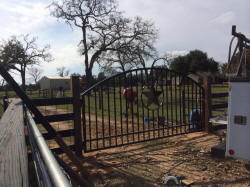 Single Arch Gates by Brenham Iron Works