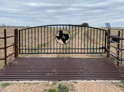 Single Arch Gates by Brenham Iron Works