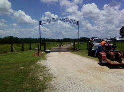 Straight Top Gates by Brenham Iron Works