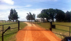 Straight Top Gates by Brenham Iron Works