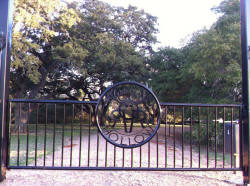 Straight Top Gates by Brenham Iron Works