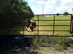 Straight Top Gates by Brenham Iron Works