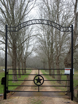 Straight Top Gates by Brenham Iron Works